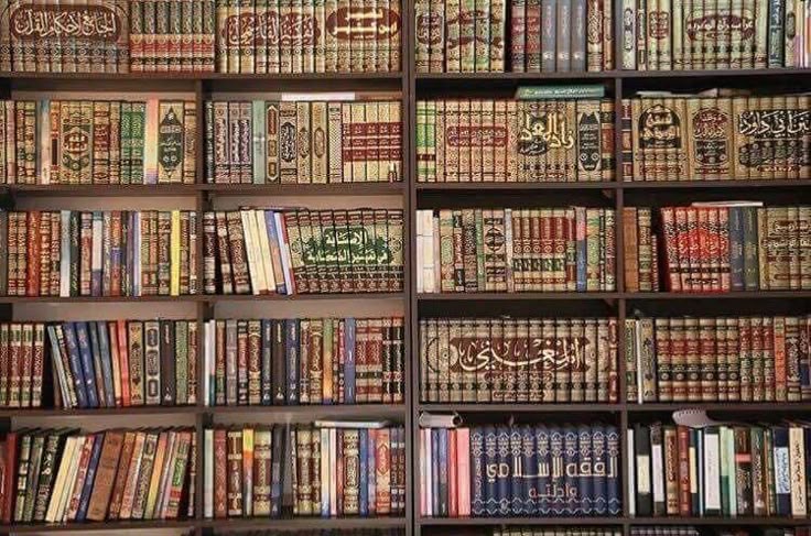 6b1808e6671dbf34728bc92ca2dc08a3 Siblings Of Ilm 1